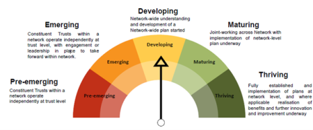 Graphic detailing the stages of maturity